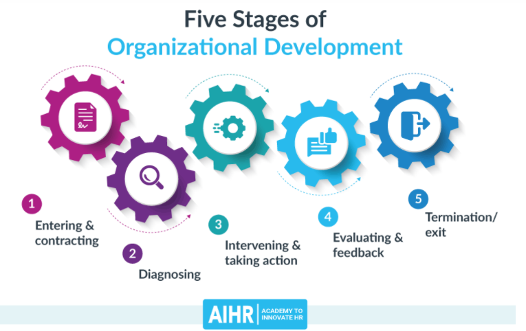 What Are The Stages of Organisational Development?